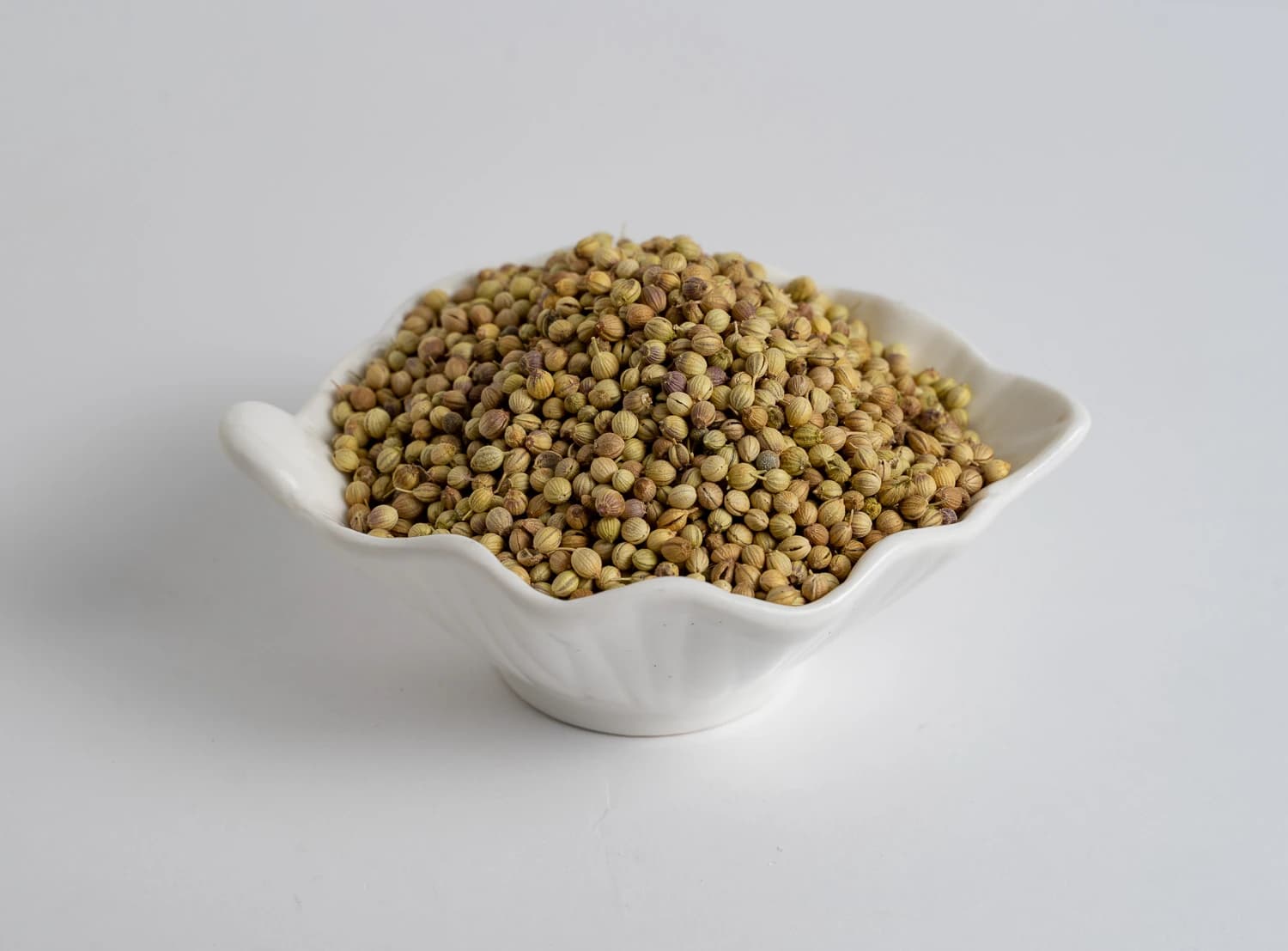 Natural dried coriander seeds